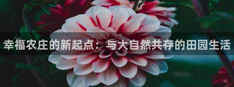 金年会金年会