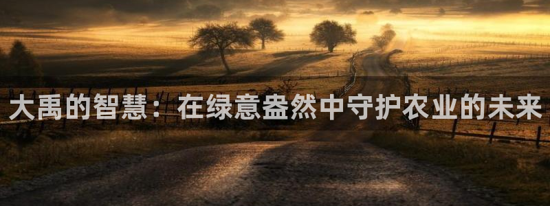 金年会官方客服