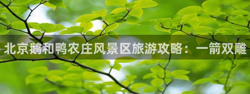 金年会平台是真的吗