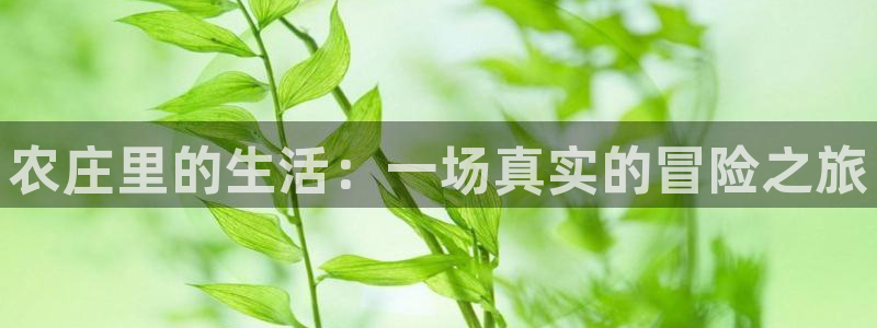 金年会体育app下载