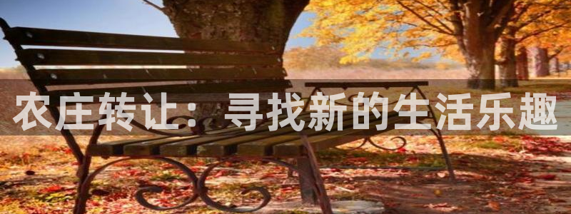 金年会手机app