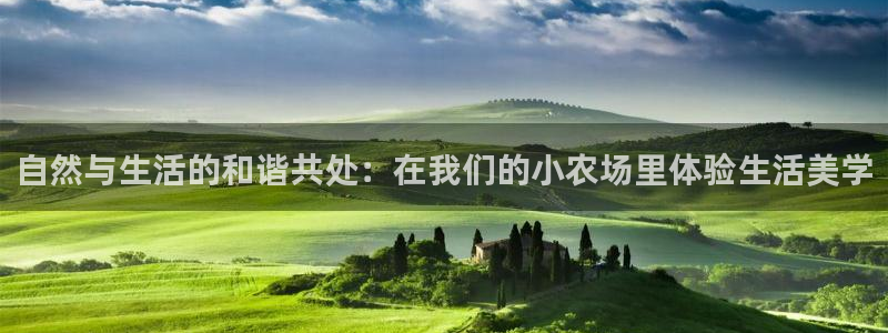 金年会网址