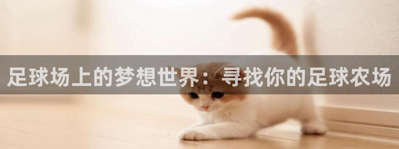 金年会最新下载