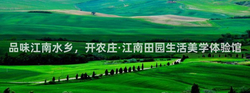 金年会网官网新版