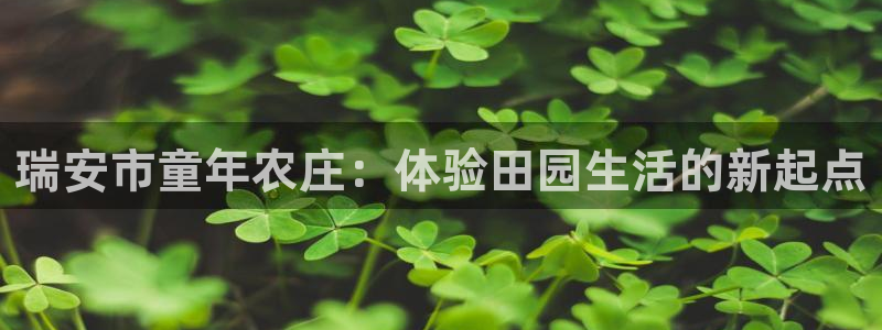 金实年会
