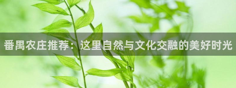 金年会平台是不是大台子