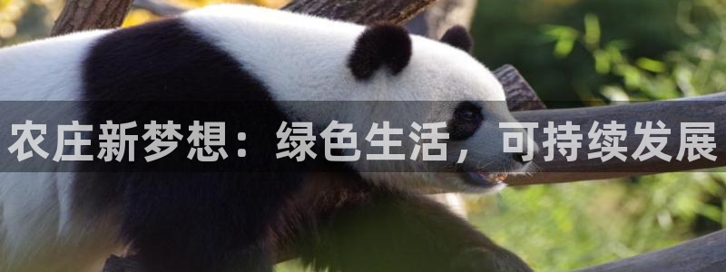 金年会APP黑钱