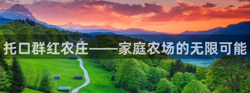 金年会体育官网