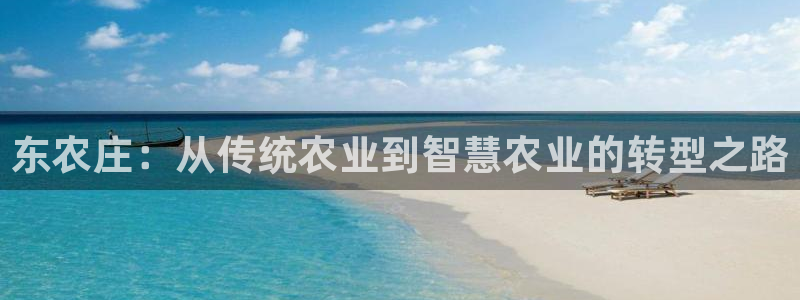 金年会是赌博的吗