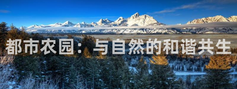 金年会体育app下载