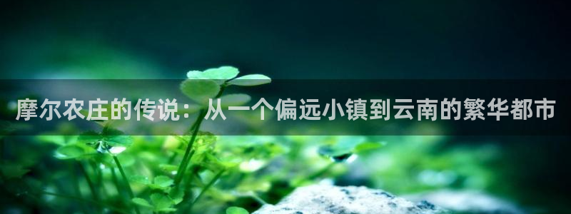 6766金年会