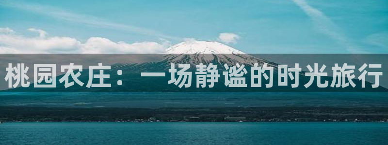 金年会是正规的吗