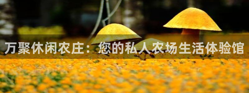 金年会手机官网