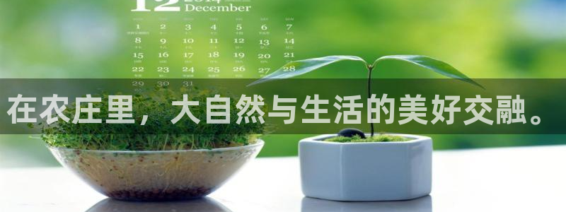 金年会官方入口