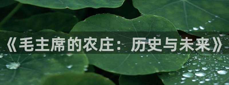 金年会体育app下载