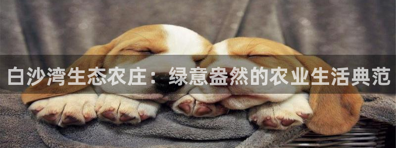 金年会手机网页版登录