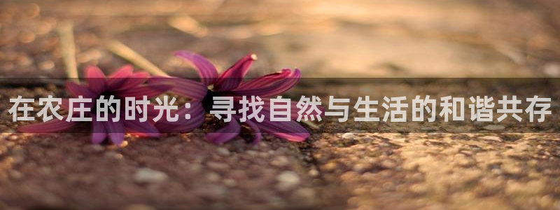 金年会金字招牌在线入口