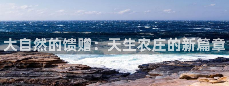 金年会金字招牌诚信至上