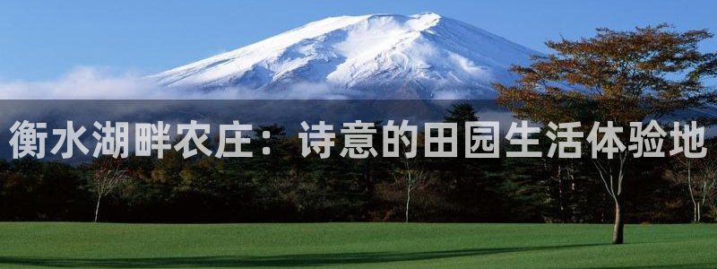 金年会平台是不是大台子