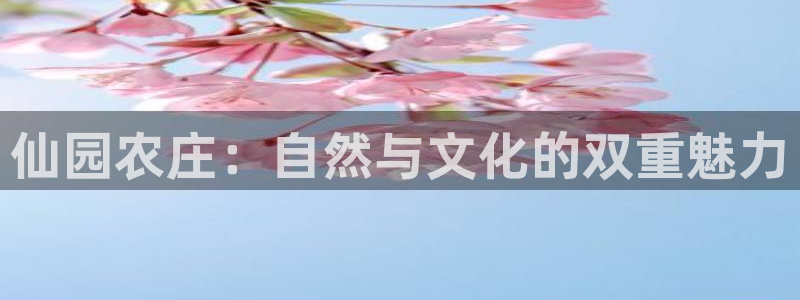 金年会登录入口