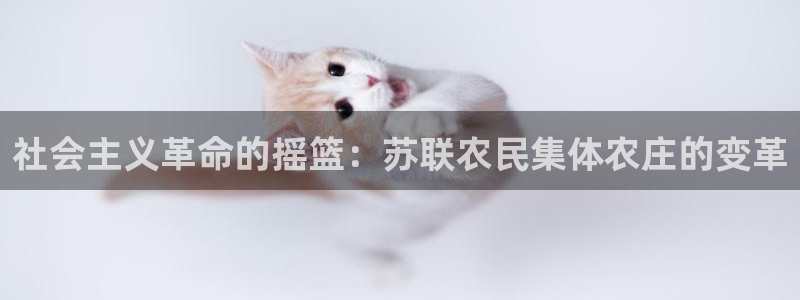 金年会官方网站