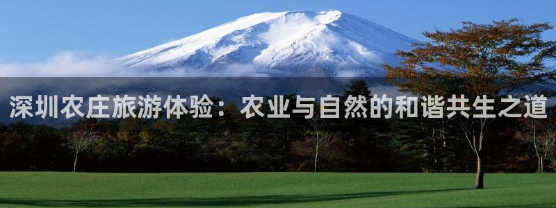 金年会娱乐下载app