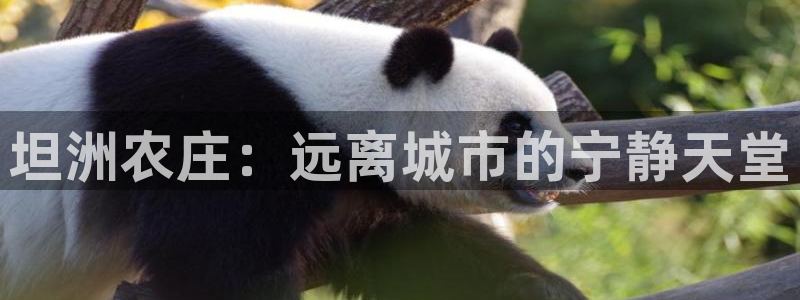 金年会 信誉至上