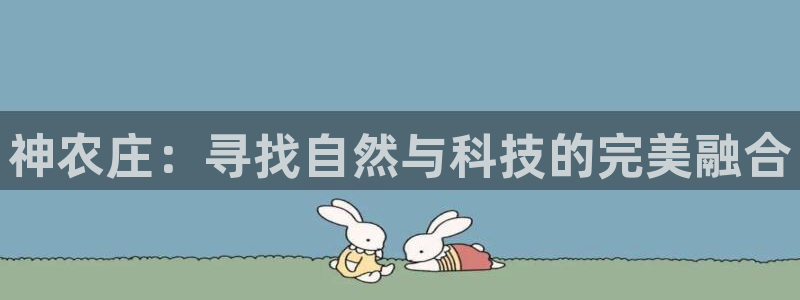 金年会官网入口