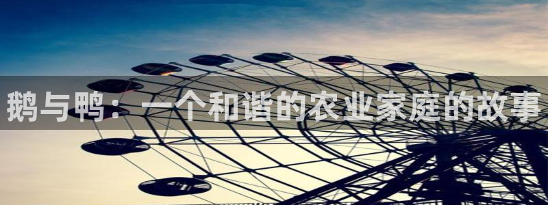 jinnianhui 金年会