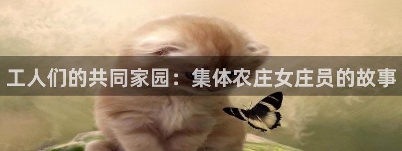 金年会金字招牌下载