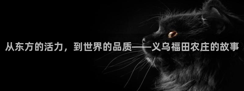 金年会体育官方网站入口