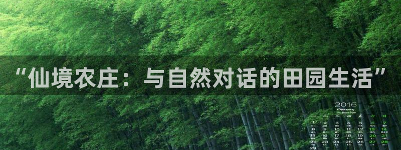 金年会娱乐和马竞