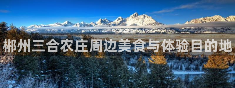 金年会娱乐提现