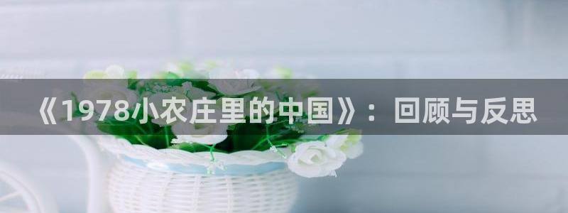 金年会娱乐提现