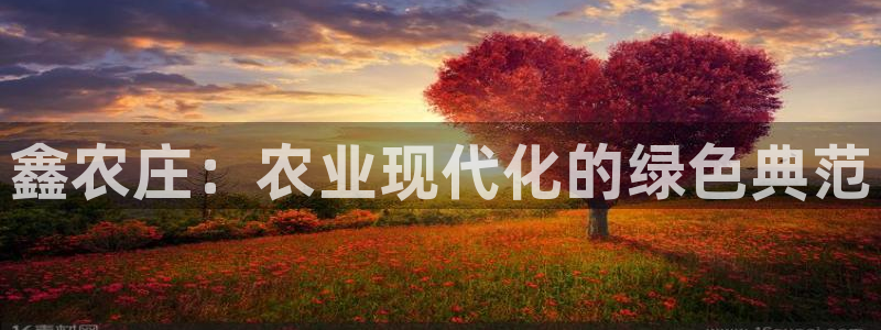 金年会电子游戏